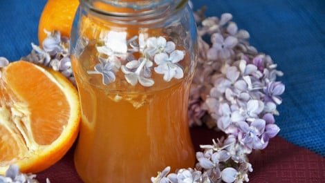 Rezept für Orangengelee: Fruchtig-intensiv