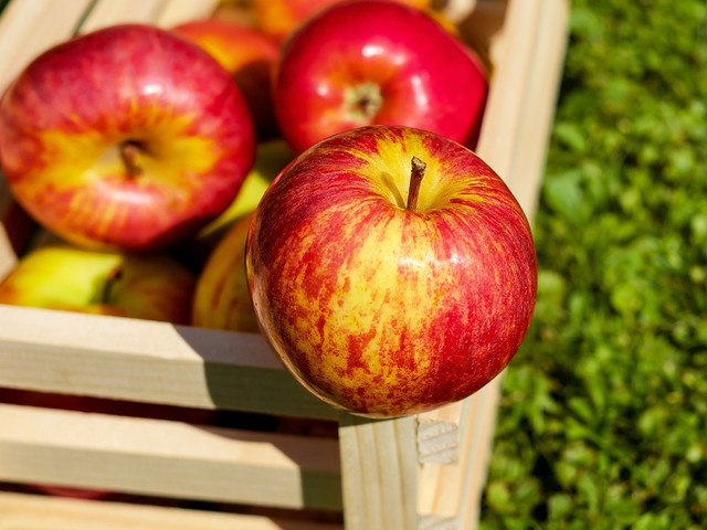 Achte bei den Zutaten für den Apfelreis möglichst auf Bio-Qualität.