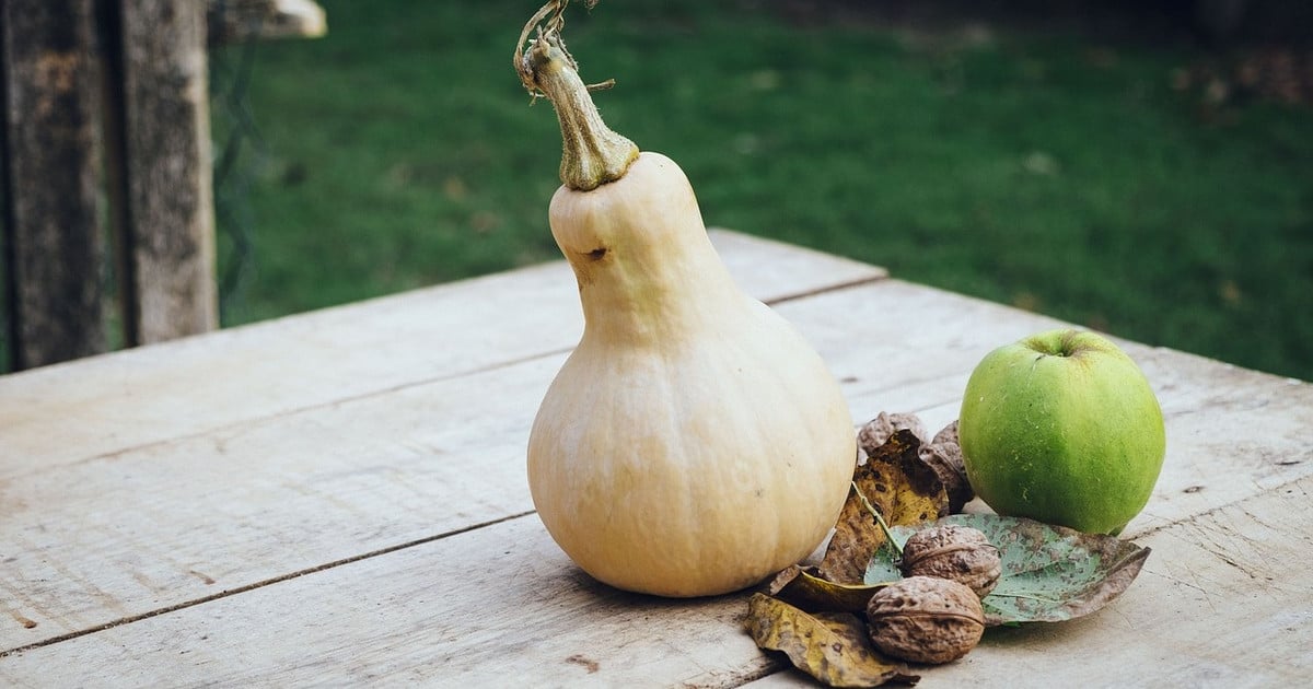 Kürbissalat mit Apfel und Walnüssen: Einfaches Rezept | Utopias Rezeptwelt