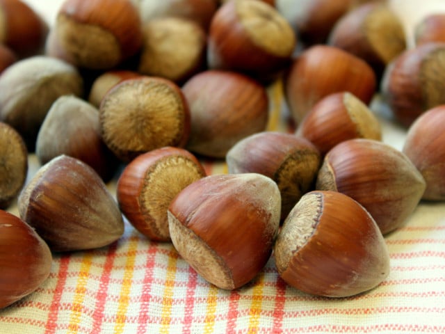Servier- und Einkaufstipps für Nussburger Haselnüsse sind eine regionale Nusssorte.