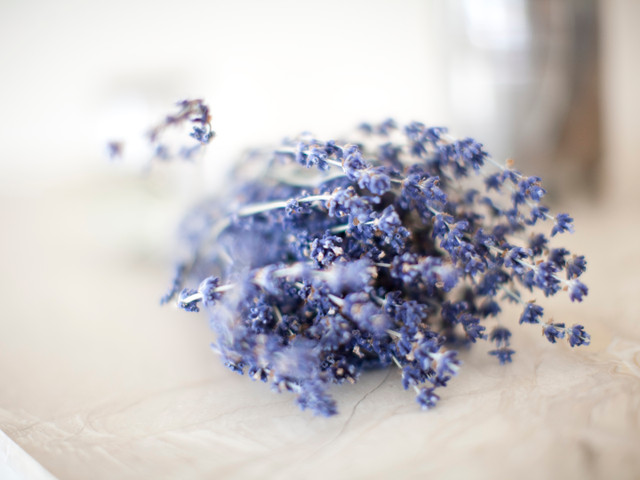 Tipp für deine Lavendel-Limonade Für Lavendel-Limonade kannst du getrockneten Lavendel verwenden.