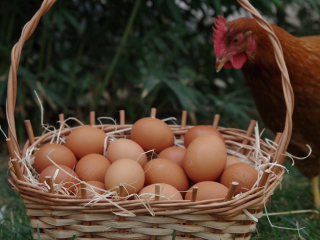 Eier solltest du in Bio-Qualität und aus deutscher Herkunft kaufen.