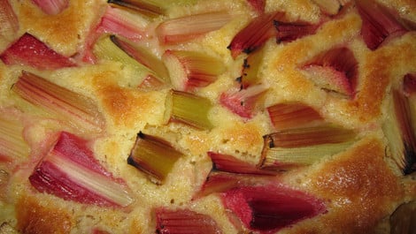 Rhabarber-Blechkuchen: Einfaches Rezept