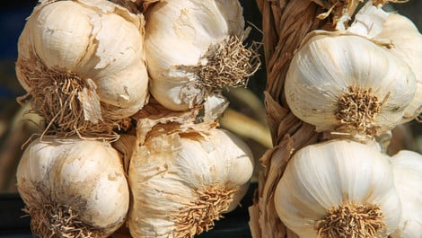 Gebackener Knoblauch aus dem Ofen: Rezept und Verwendungsmöglichkeiten