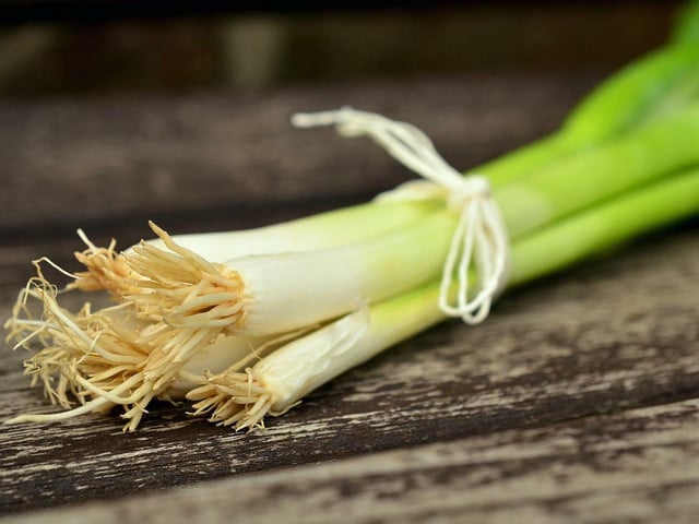 Frühlingszwiebeln Rezept 