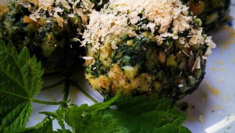 Hausgemachte Brennnesselknödel: Rezept mit dem Wildkraut