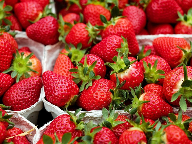 Verwende nur vollreife Erdbeeren für den Erdbeer-Pudding. So wird er besonders aromatisch.