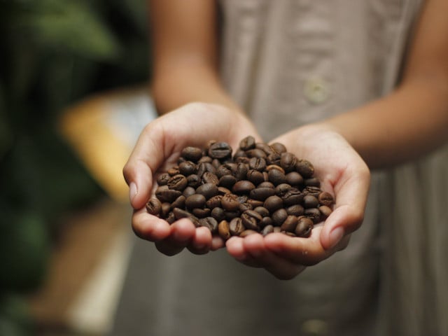 Freddo Cappuccino: Variationstipps und Hinweise Verwende für den Freddo Cappuccino möglichst Fairtrade Kaffee aus Bio-Anbau.