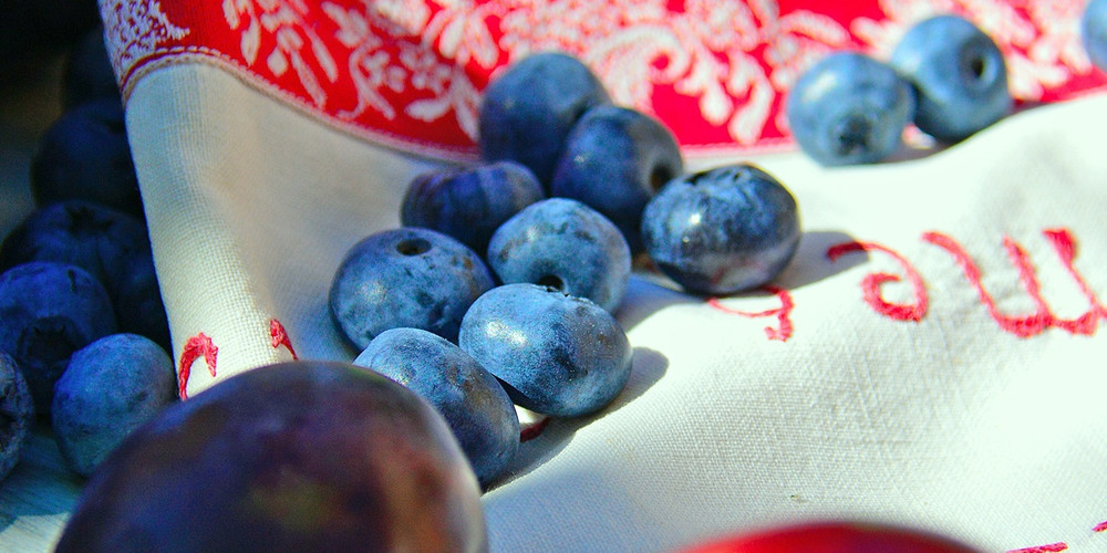 Schlehenkompott: Erst sammeln, dann verarbeiten