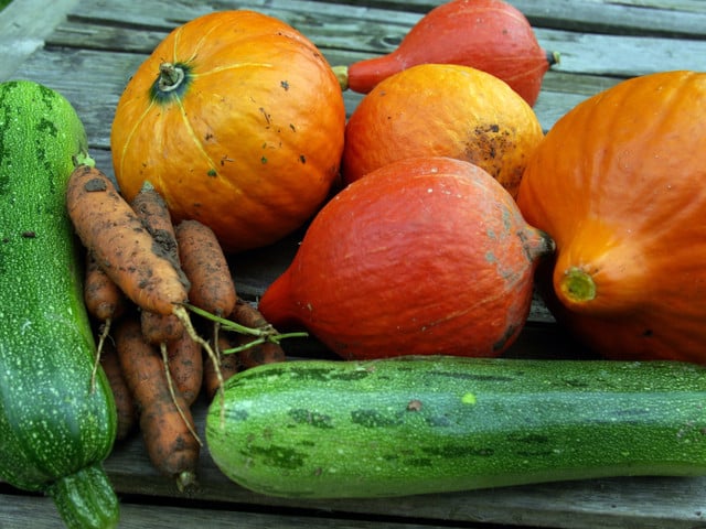 Gemüse der Saison ist meist regional und klimaneutraler.