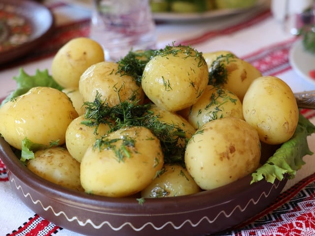 Traditionell wird die Saltibarsciai mit gekochten Kartoffeln serviert.