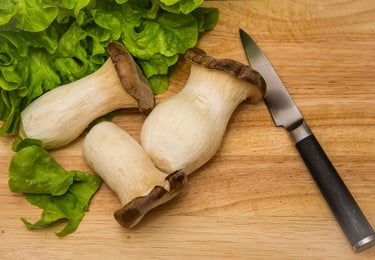 Pasta mit Kräuterseitlingen