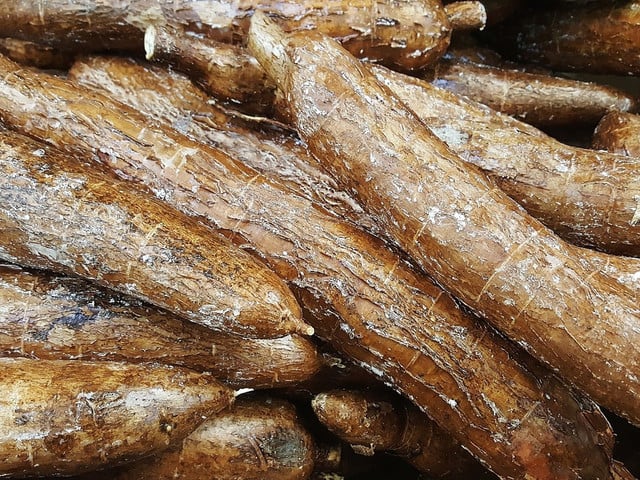 Farofa entsteht aus dem Mehl der Maniokwurzel.