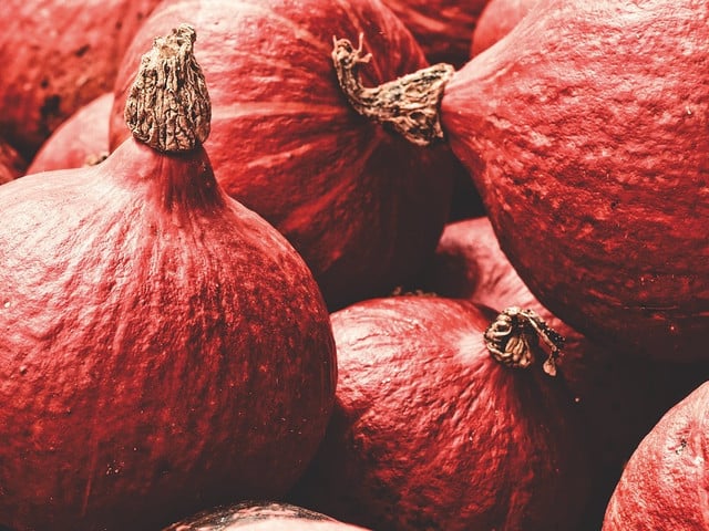 Im Herbst gibt es wieder leckere Hokkaidokürbisse aus heimischer Ernte.