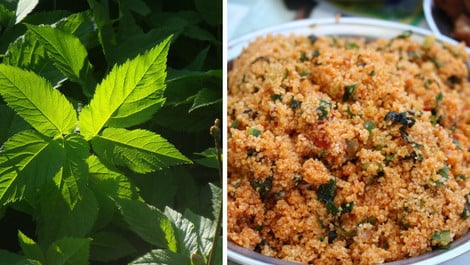 Giersch-Salat: Leckeres Rezept mit Bulgur