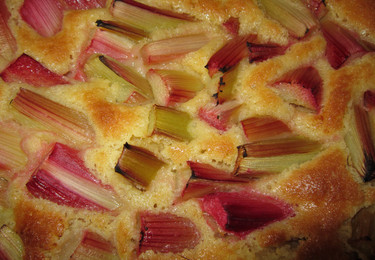 Rhabarber-Blechkuchen