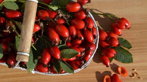 Hagebutten-Sirup: Vitamin-C-Spender in der Erkältungszeit