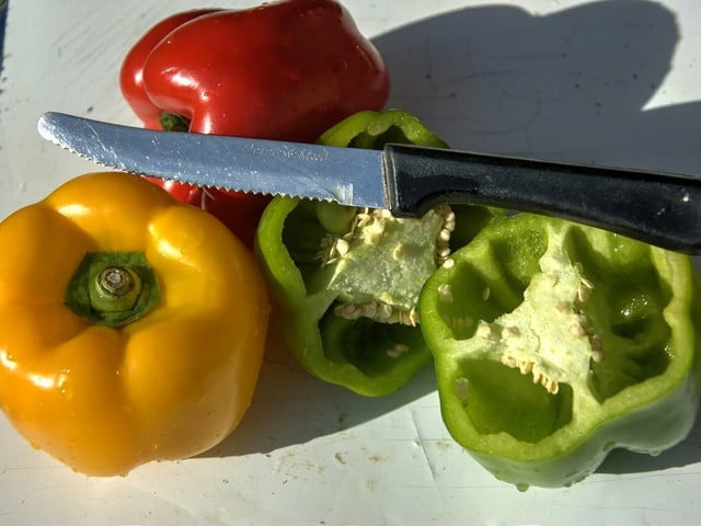 Auch wenn sie etwas anders schmeckt: Grüne Paprika passt zu genauso vielen Rezepten wie gelbe oder rote.