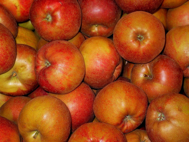 Boskoop eignet sich als säuerliche Sorte gut für Räucheräpfel. 