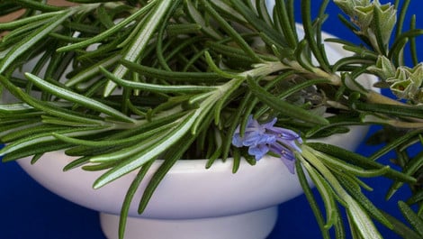 Rezept für aromatische Kräuterkekse: So geht’s