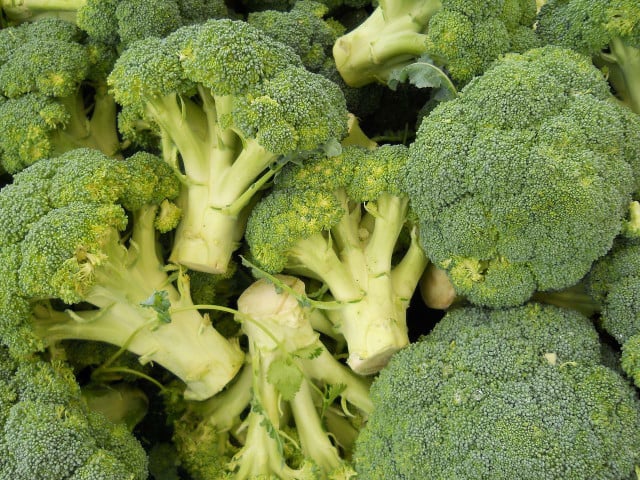 Brokkoli-Bratlinge versorgen dich mit vielen wichtigen Nährstoffen.