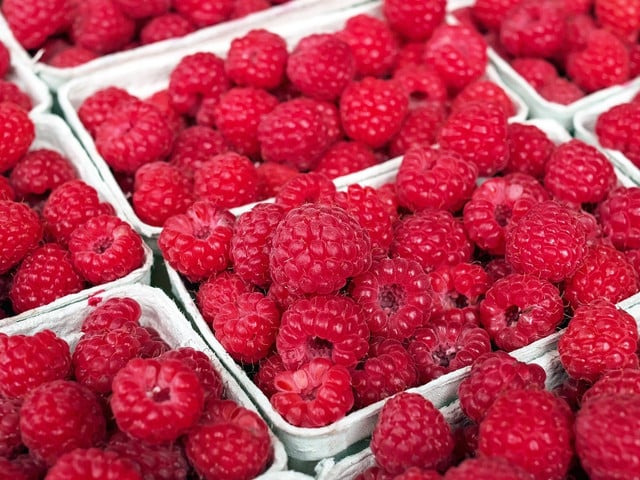 Skyr-Eis: Tipps für die Zubereitung Himbeeren haben von Juli bis September Saison.