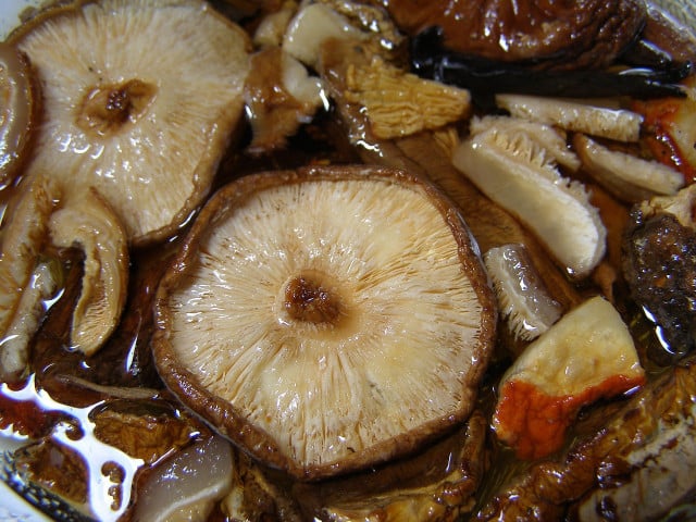 Veganes Kombu-Dashi besteht aus Kombu-Algen und Shiitake-Pilzen.