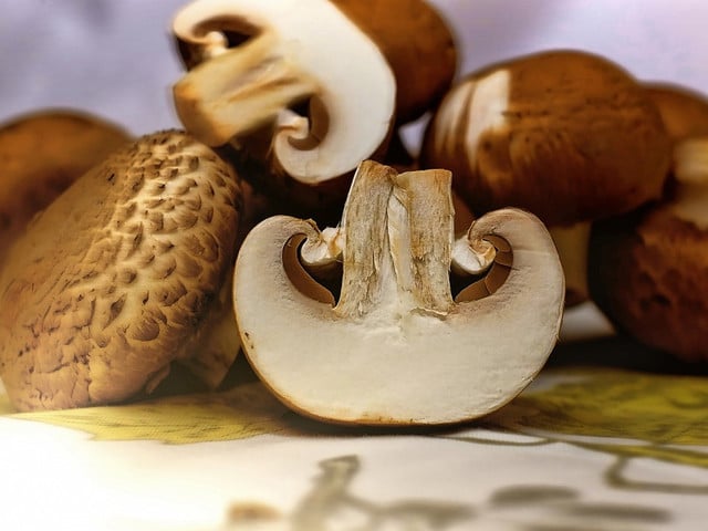 Das Grundrezept für Rahmsoße Das Grundrezept für Rahmsoße kannst du zum Beispiel mit Champignons verfeinern.