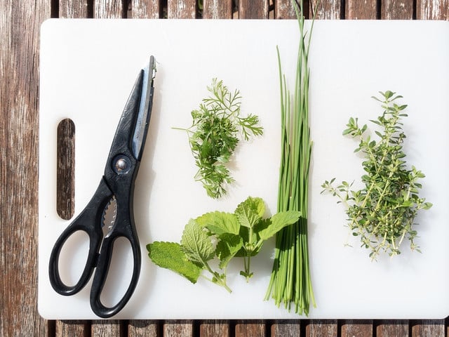 Wenn du die Salatkräuter-Mischung auf Vorrat machen möchtest, musst du die Kräuter erst trocknen.