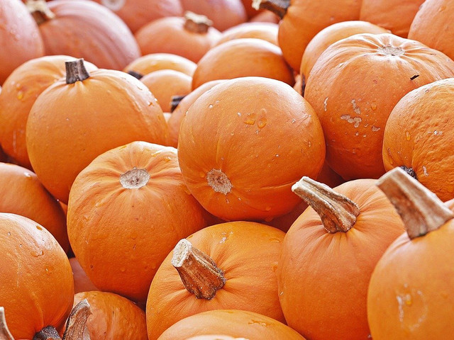 Pumpkin Spice eignet sich nicht nur für Kürbisgerichte.
