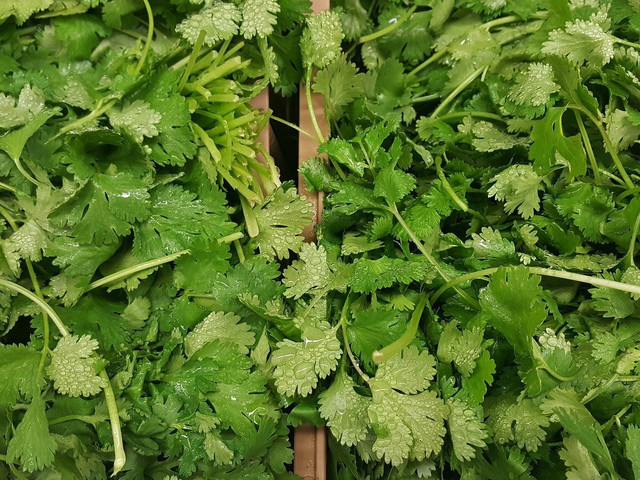 Zhug: Einfaches Rezept für scharfe Würzsauce mit Koriander Je frischer der Koriander, desto aromatischer das Zhug.