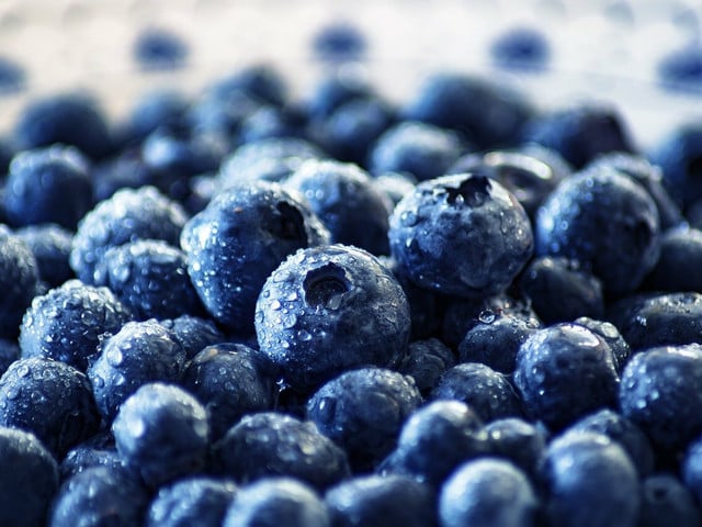 Frische Blaubeeren machen den veganen Blaubeerkuchen besonders saftig.