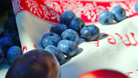 Schlehenkompott: Erst sammeln, dann verarbeiten