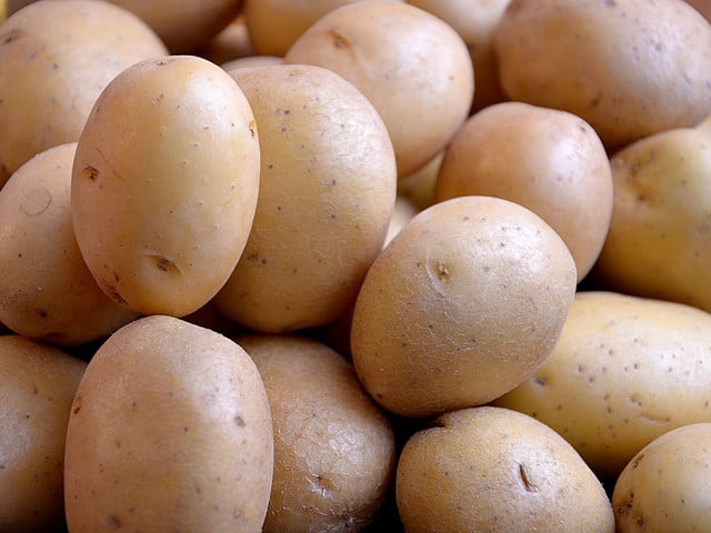 Mehliggkochende Kartoffeln sind die Hauptzutat für Kluski.