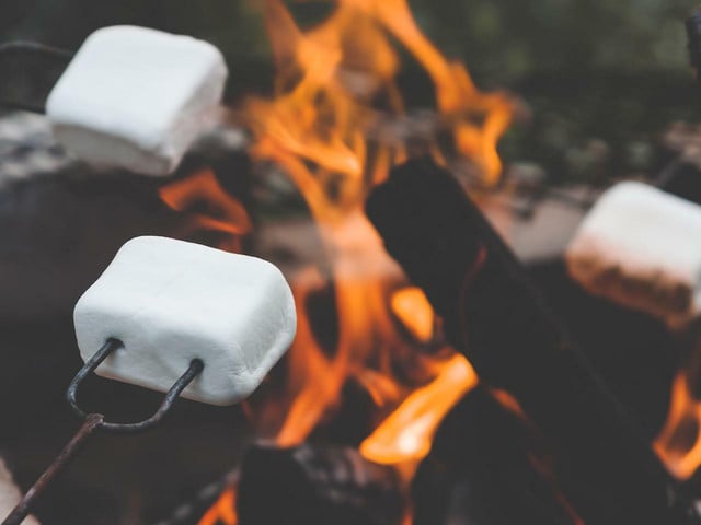Kirschen zusammen mit Marshmallows grillen Du kannst Kirschen zusammen mit Marshmallows grillen für ein besonderes Dessert.