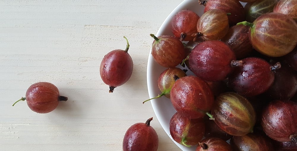 Stachelbeerlikör: Einfaches Rezept für den Sommerdrink | Utopias Rezeptwelt