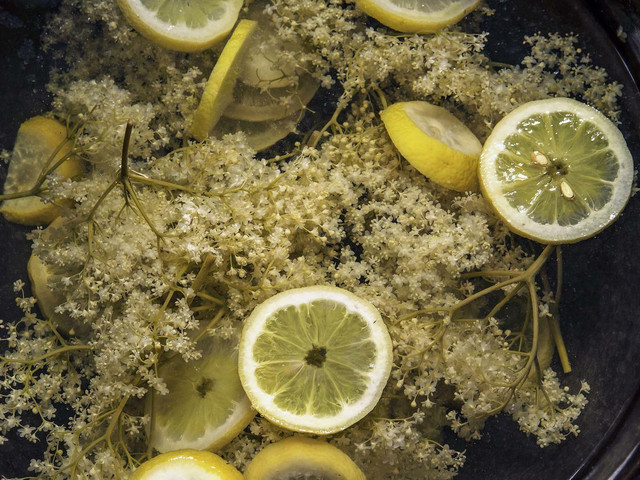 Holunderlimonade: Haltbarkeit und Variationen Durch Hinzufügen weiterer Zutaten kannst du die Holunderlimonade abwandeln.