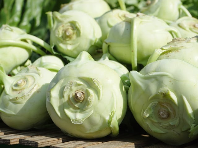 Kohlrabi braten: Rezept für Pfannenkohlrabi Kohlrabi ist reich an Vitaminen und Mineralien.