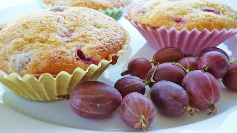 Stachelbeer-Muffins: Einfaches Rezept für das erfrischende Gebäck