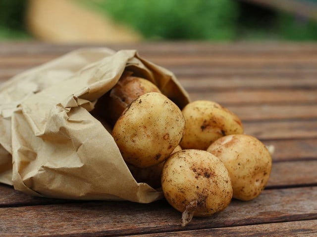Wichtig ist, dass du für den schwäbischen Kartoffelsalat festkochende Kartoffeln verwendest. 