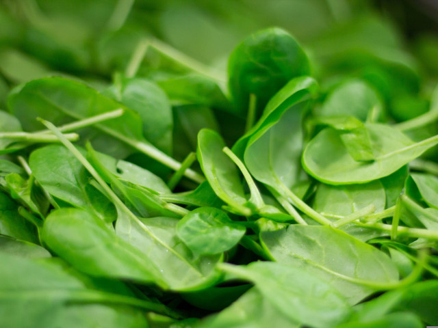 Rezept für cremigen Spinat-Hummus Durch den Spinat erhält der Hummus viele zusätzliche Nährstoffe.